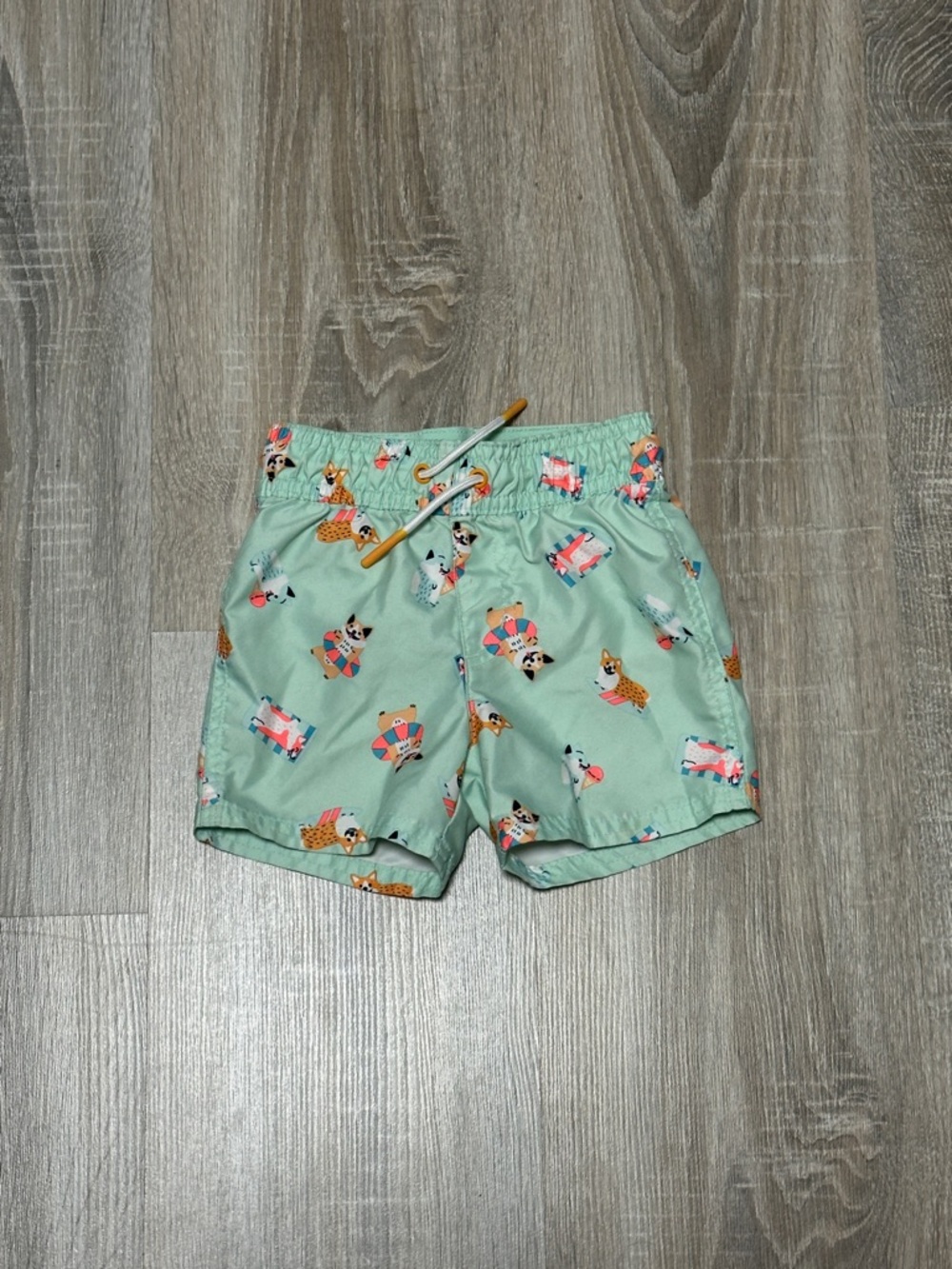 Cat & Jack Mint Green Corgi Print Swim Trunks